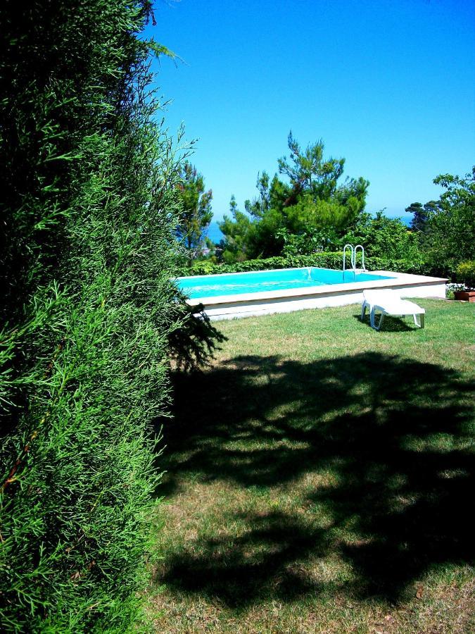 B&B Luna Blu Montesilvano Marina エクステリア 写真